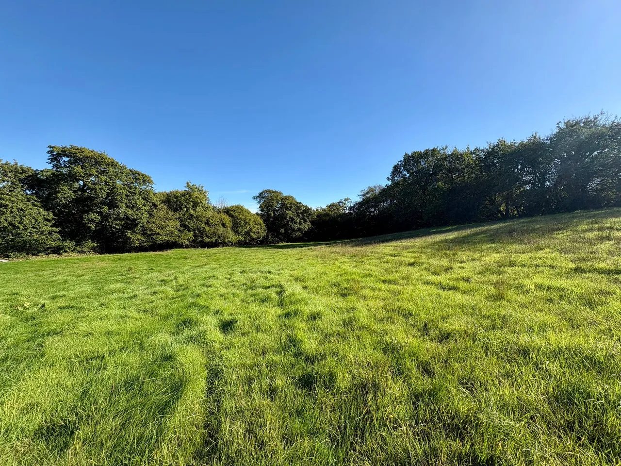 Golden Grove, Carmarthen, SA32, photo 7