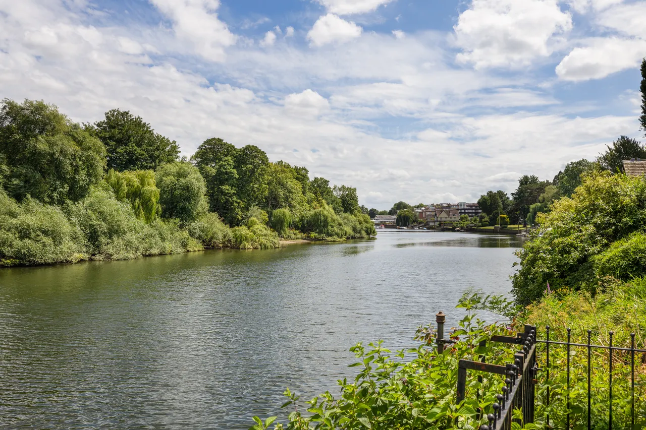 Strawberry Vale, Twickenham, London, photo 4