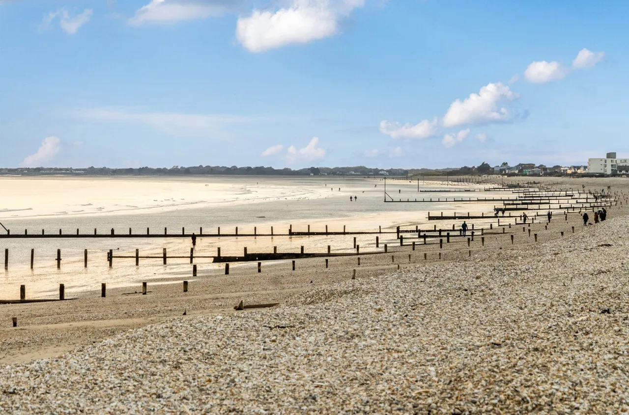 Seafields, Bracklesham Bay, PO20, photo 13