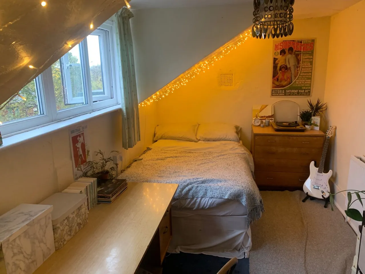 Ash Grove, Hyde Park, LS6, photo 6