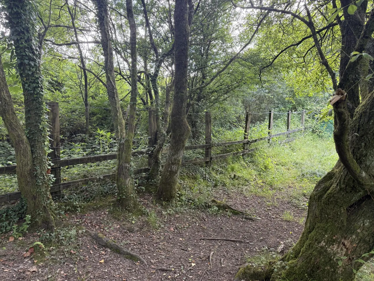 North side of A4093, Tonyrefail, CF39, photo 11