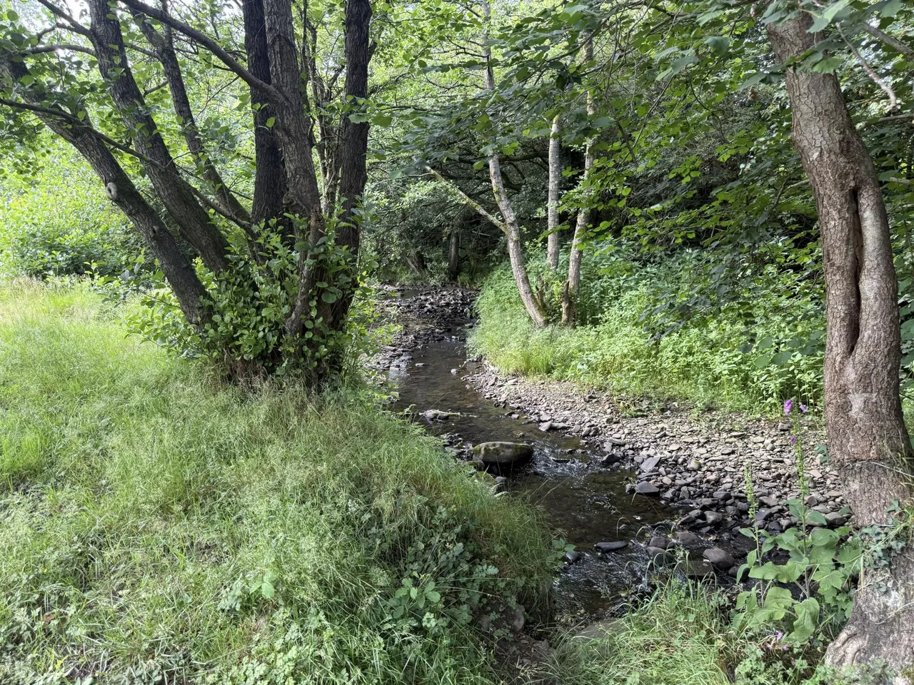 North side of A4093, Tonyrefail, CF39, photo 8