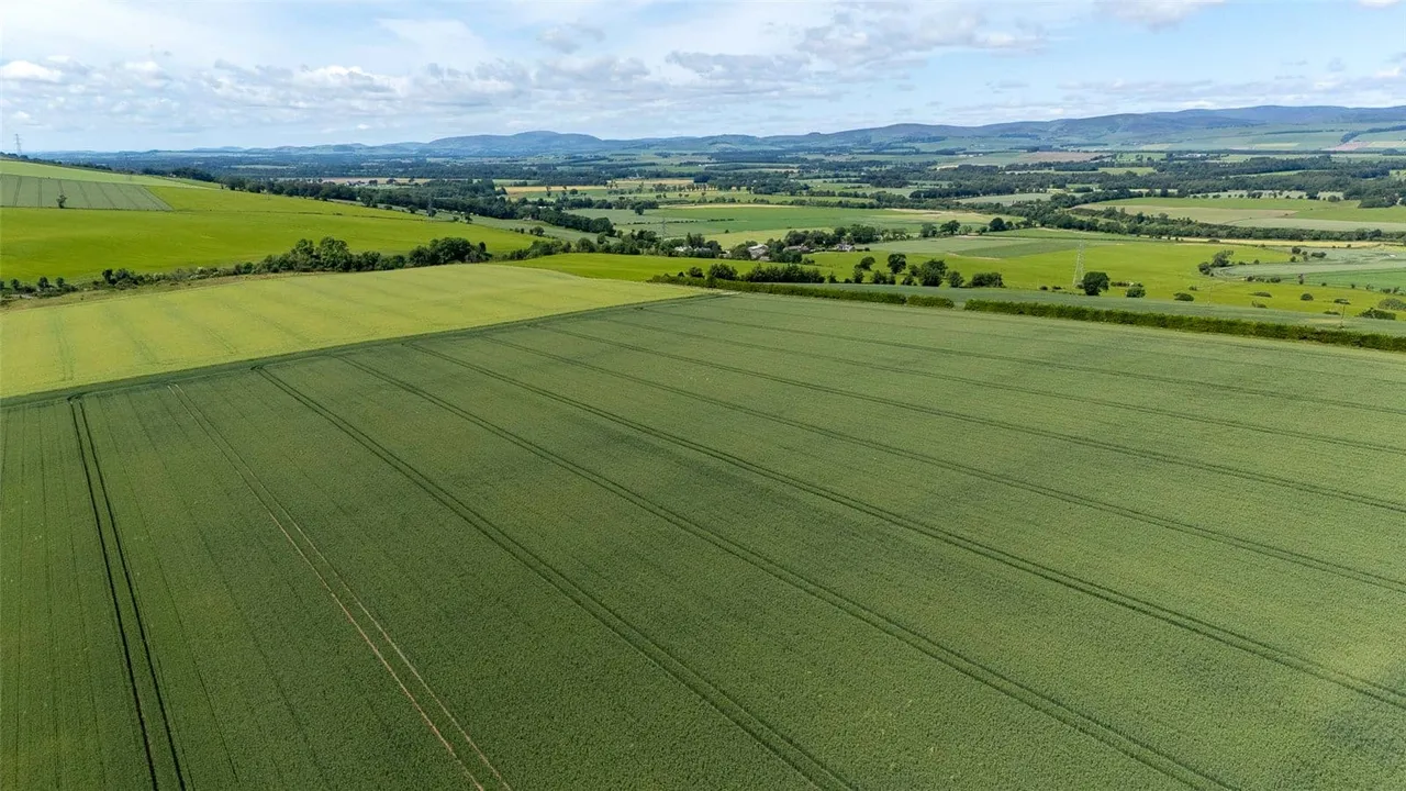 Balnacake and Netherton Farms, Brechin, Angus, DD9 6SL, photo 3
