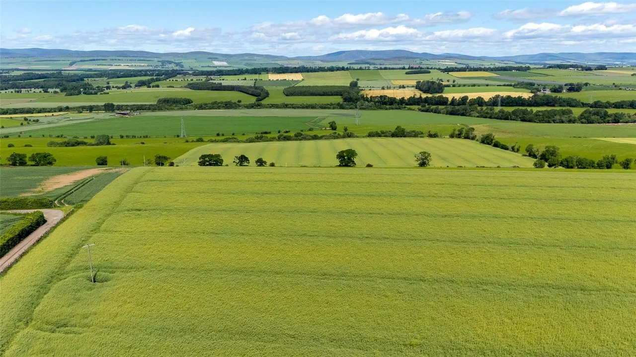 Balnacake and Netherton Farms, Brechin, Angus, DD9 6SL, photo 38