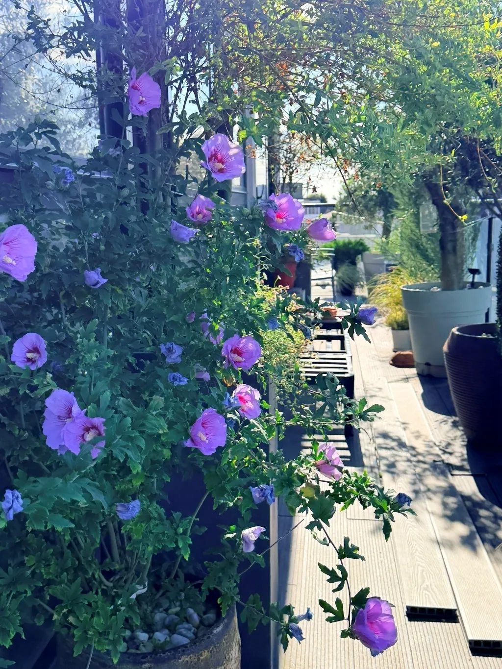 High Road, London, N12, photo 4