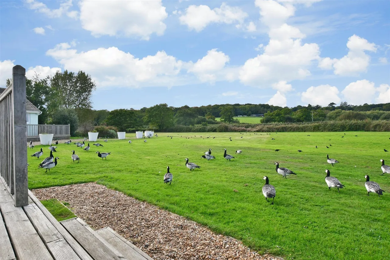 Salterns Village, Seaview, PO34, photo 2