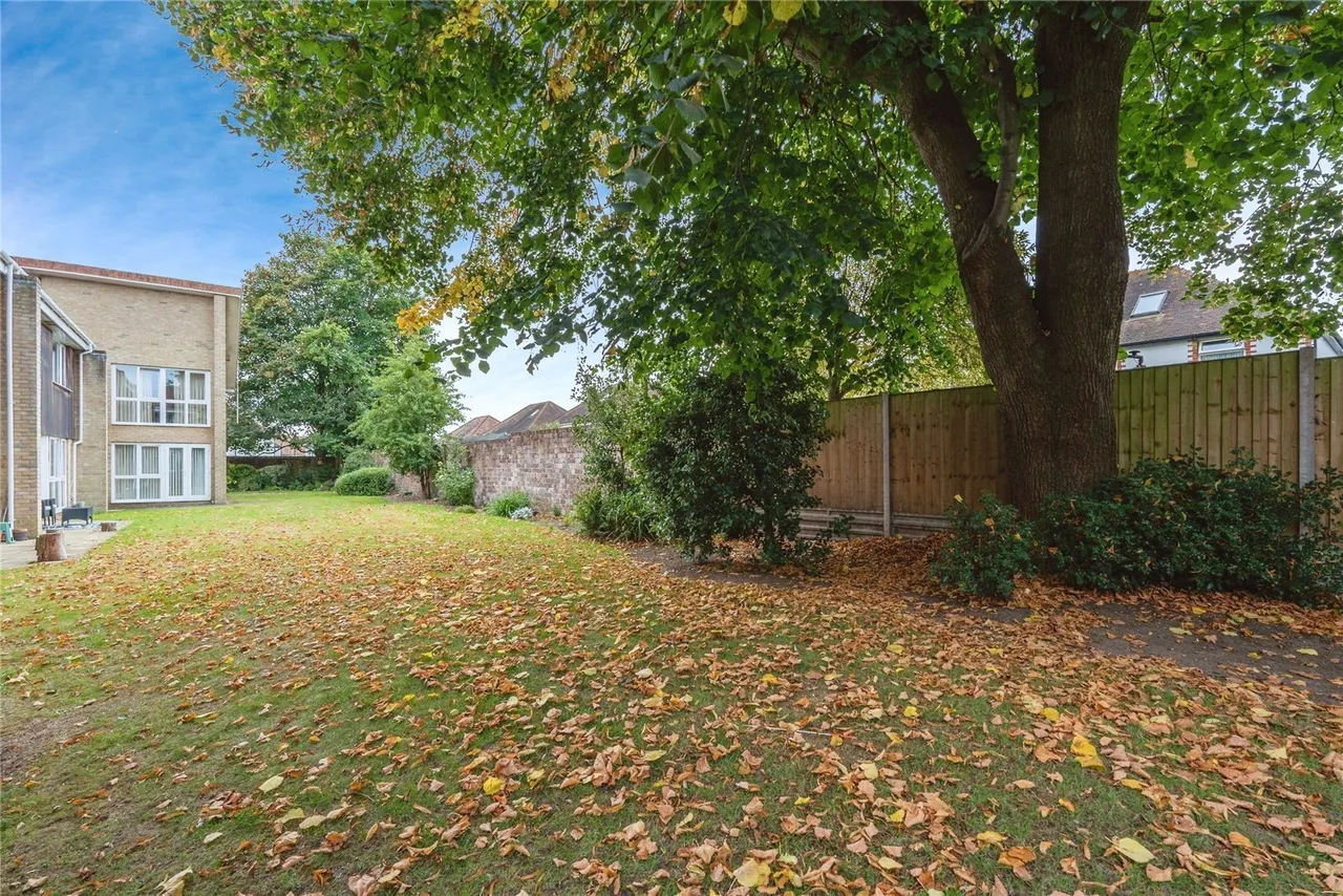 Regents Park Road, Regents Park, SO15, photo 4
