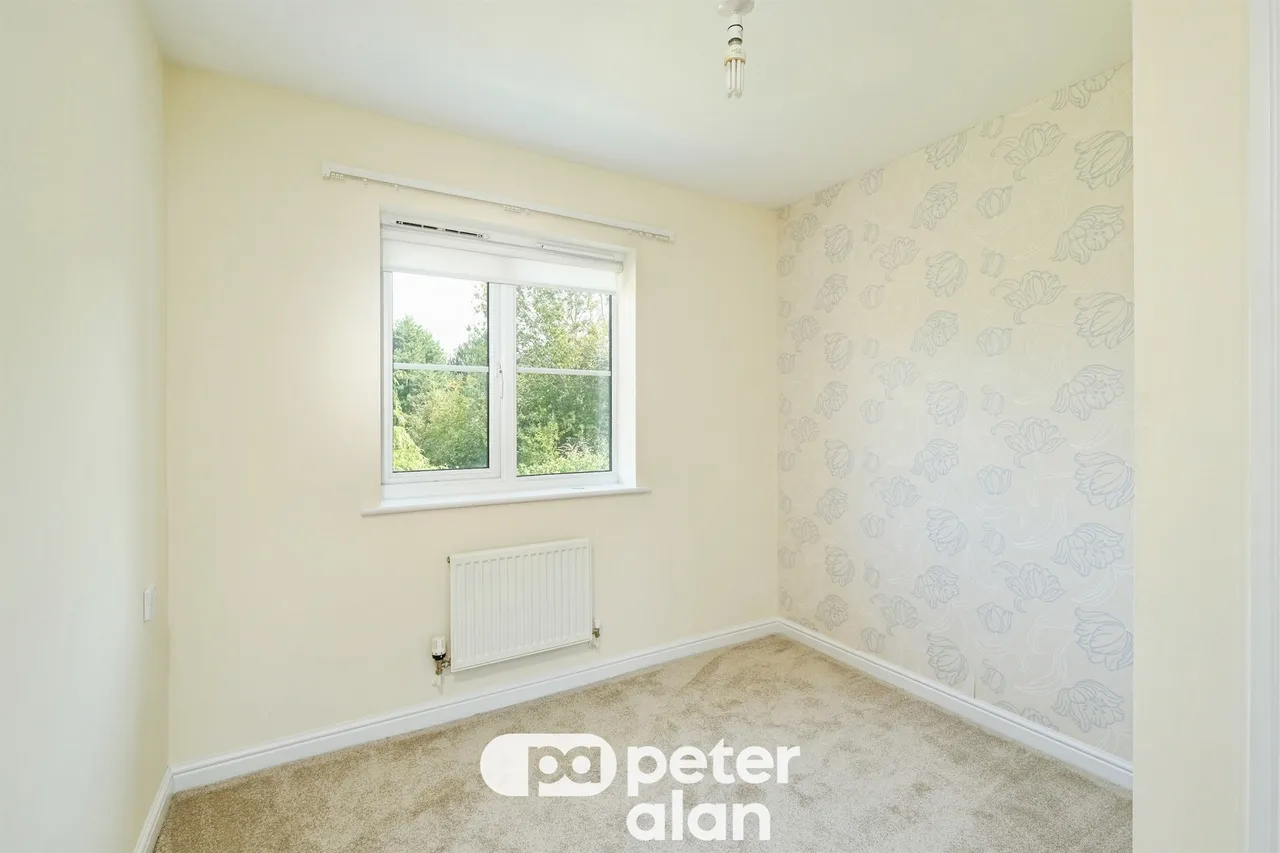 Cornpoppy Avenue, Monmouth, NP25, photo 12