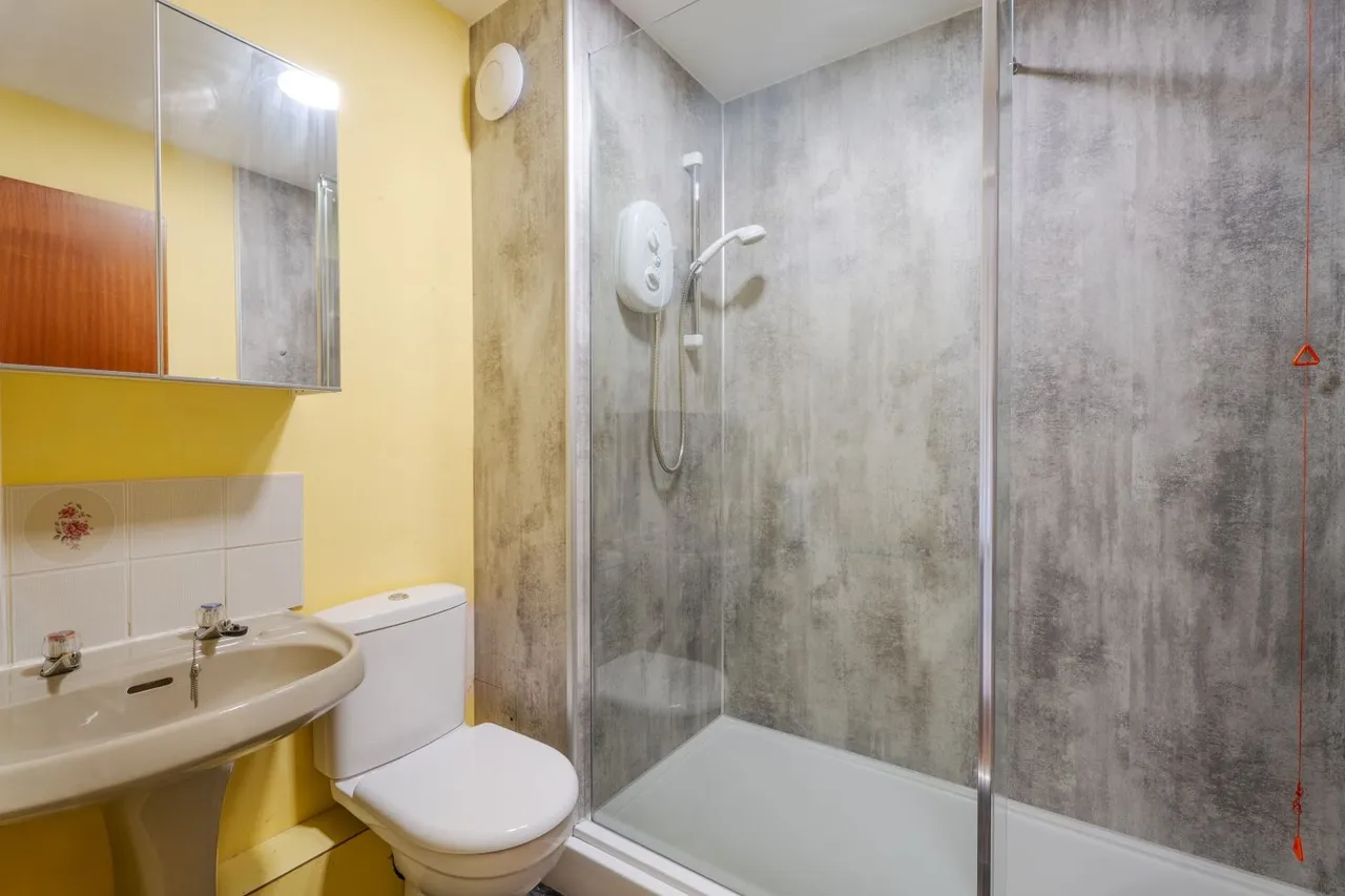 Alexandra Road, Barnstaple, EX32, photo 7