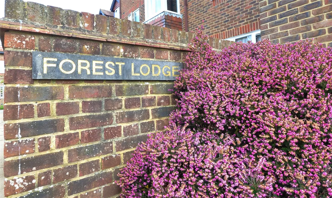 Portland Road, East Grinstead, RH19, photo 9