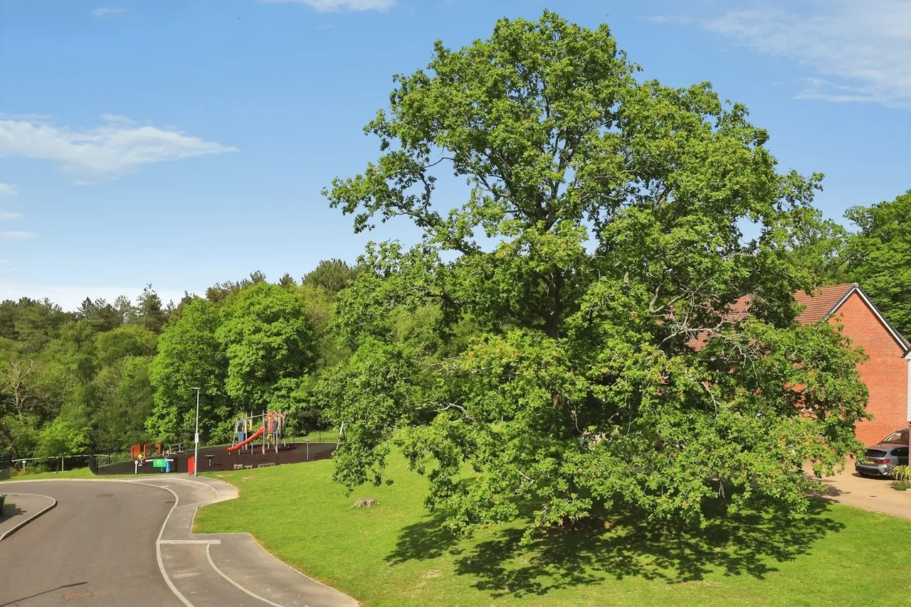 Millennium Way, Heathfield, TN21, photo 23