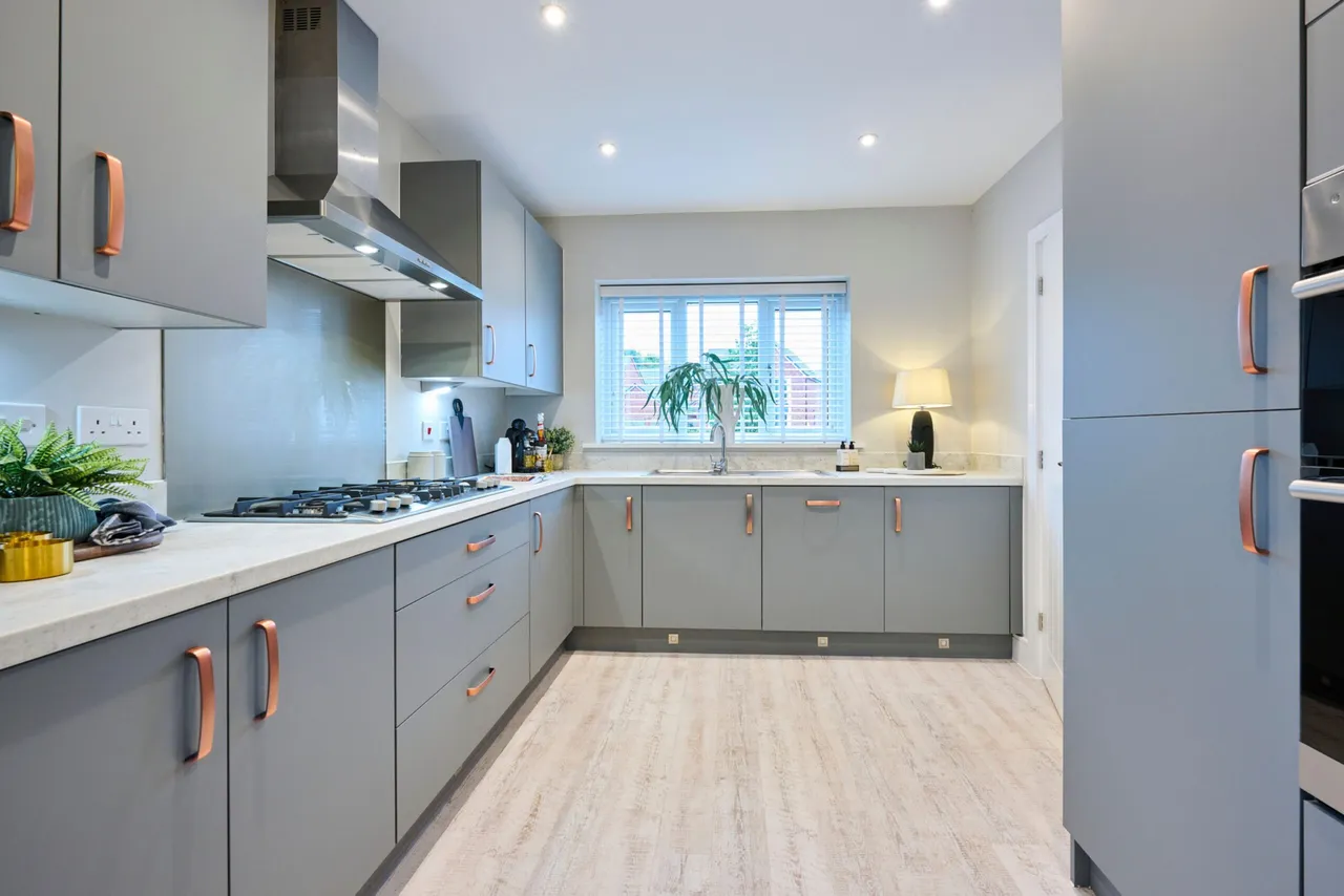 Levinson Street, Blythe Bridge, ST11, photo 3