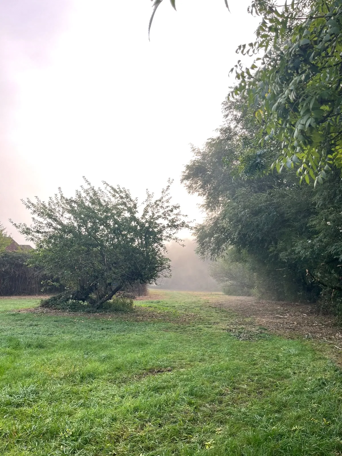 Grazing Land At West Hendred, Wantage, OX12, photo 6