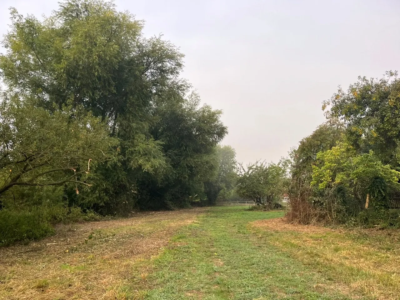 Grazing Land At West Hendred, Wantage, OX12, photo 4