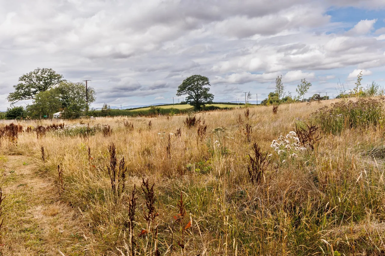 Lower Perthy, Ellesmere, SY12, photo 27