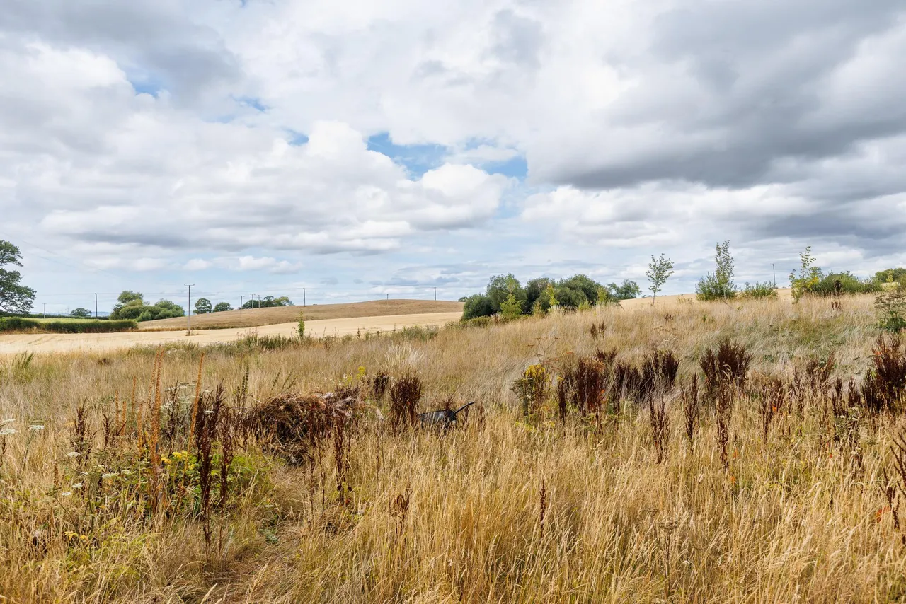 Lower Perthy, Ellesmere, SY12, photo 26