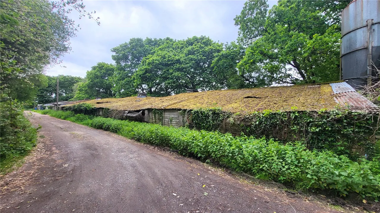 Ringwood Road, Three Legged Cross, Wimborne, Dorset, BH21 6QY, photo 16