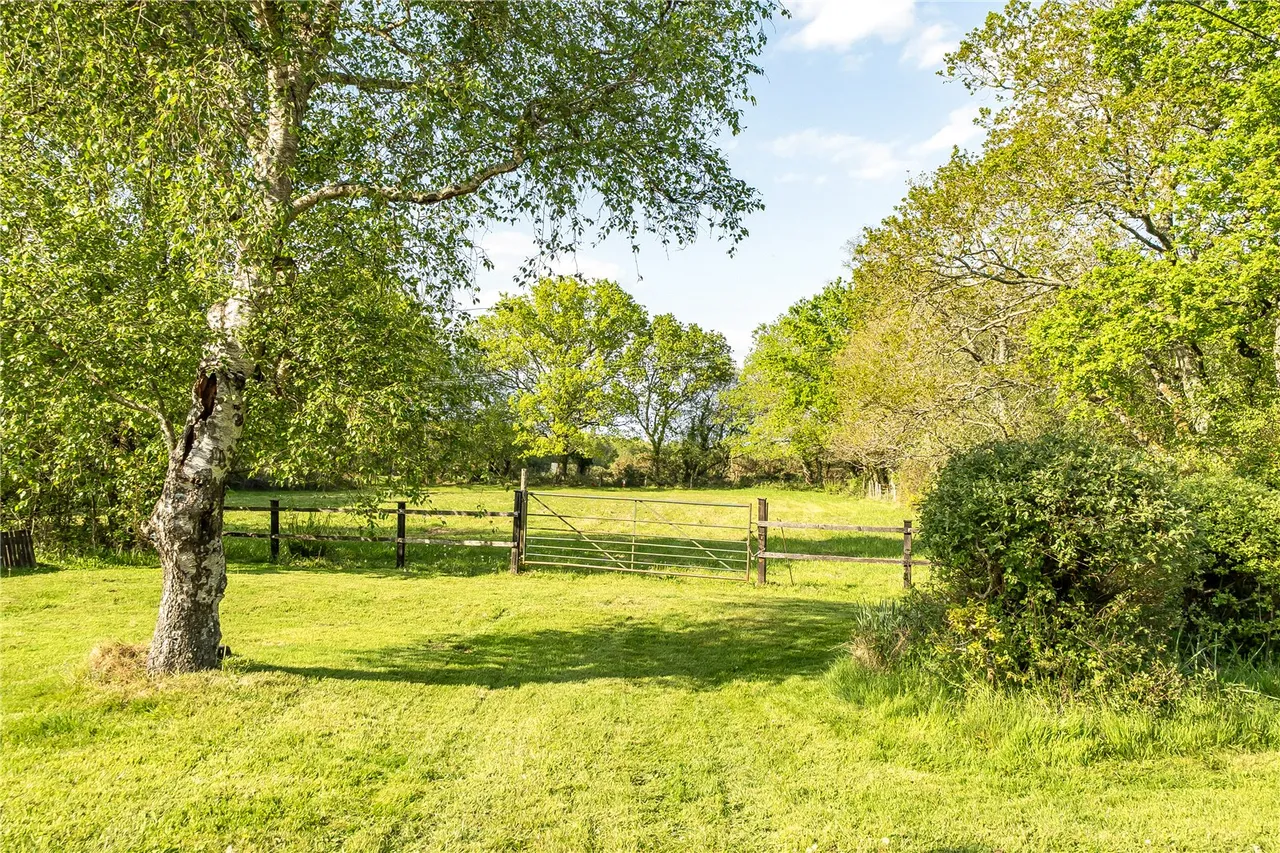 Ringwood Road, Three Legged Cross, Wimborne, Dorset, BH21 6QY, photo 15
