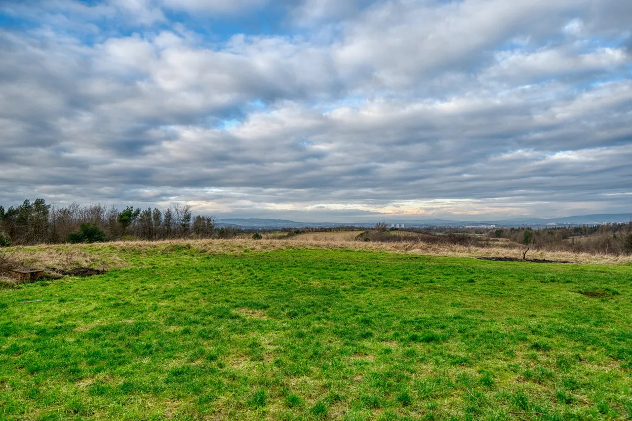 Stuart Road, Carmunnock, G76, photo 19