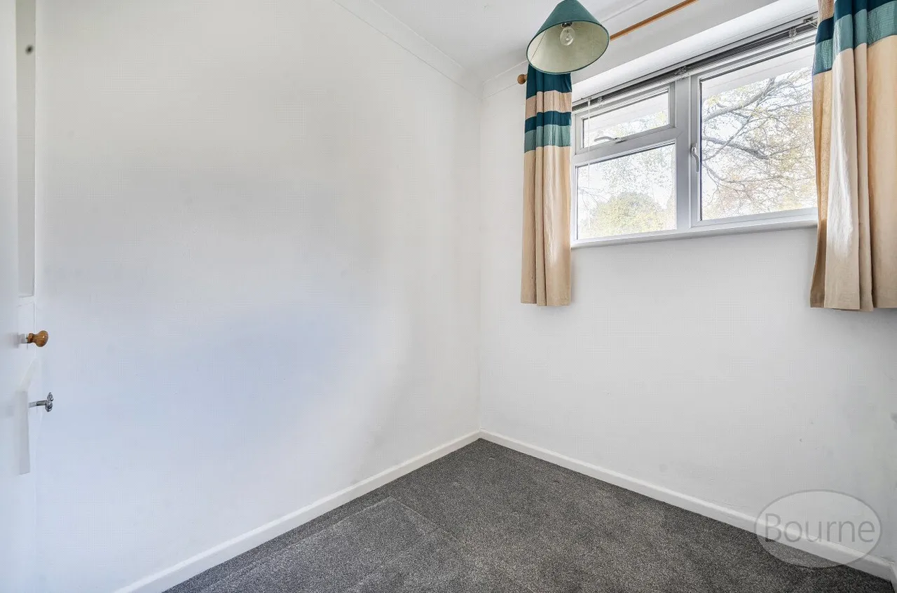 Torberry Drive, Petersfield, GU31, photo 13