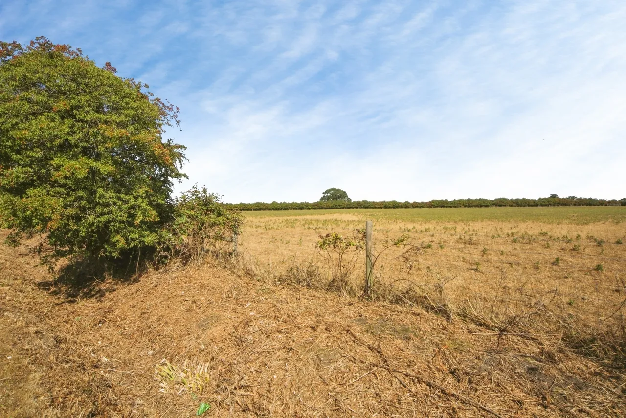 Black Oak Drive, STOWMARKET, Suffolk, IP14, photo 22
