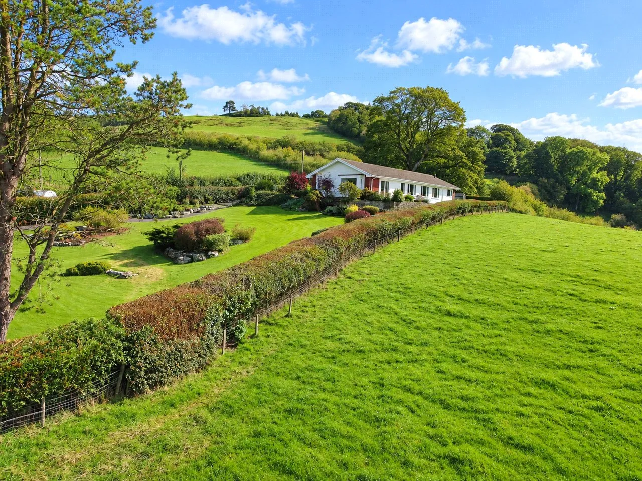 Dolau, Llandrindod Wells, LD1, photo 25