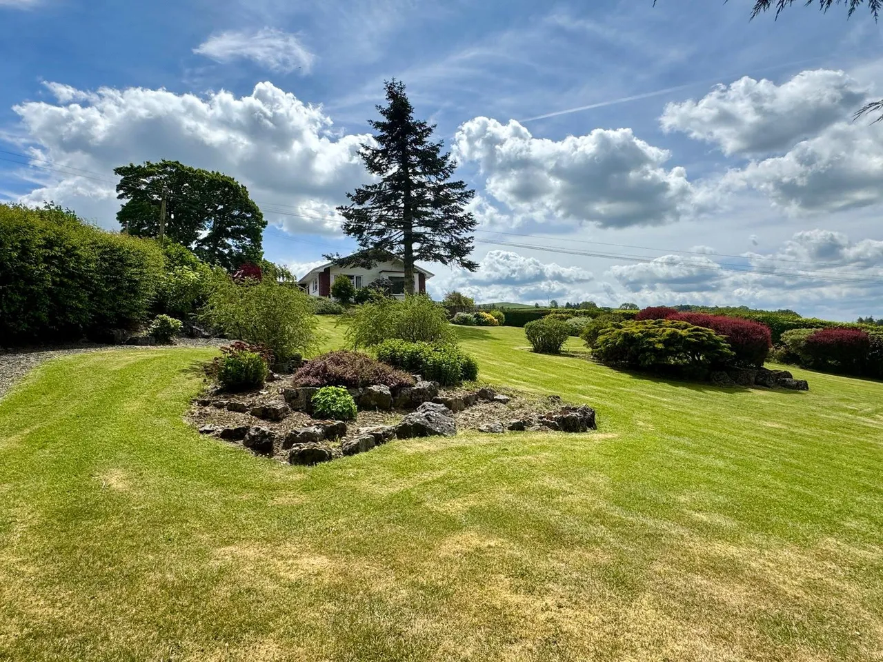 Dolau, Llandrindod Wells, Powys, LD1 5TL, photo 19