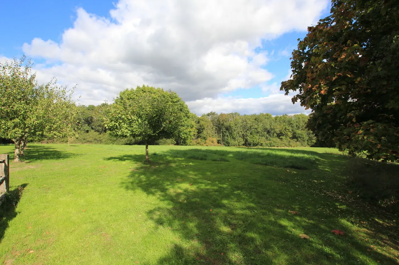 Abbey Gardens, Upper Woolhampton, RG7, photo 8