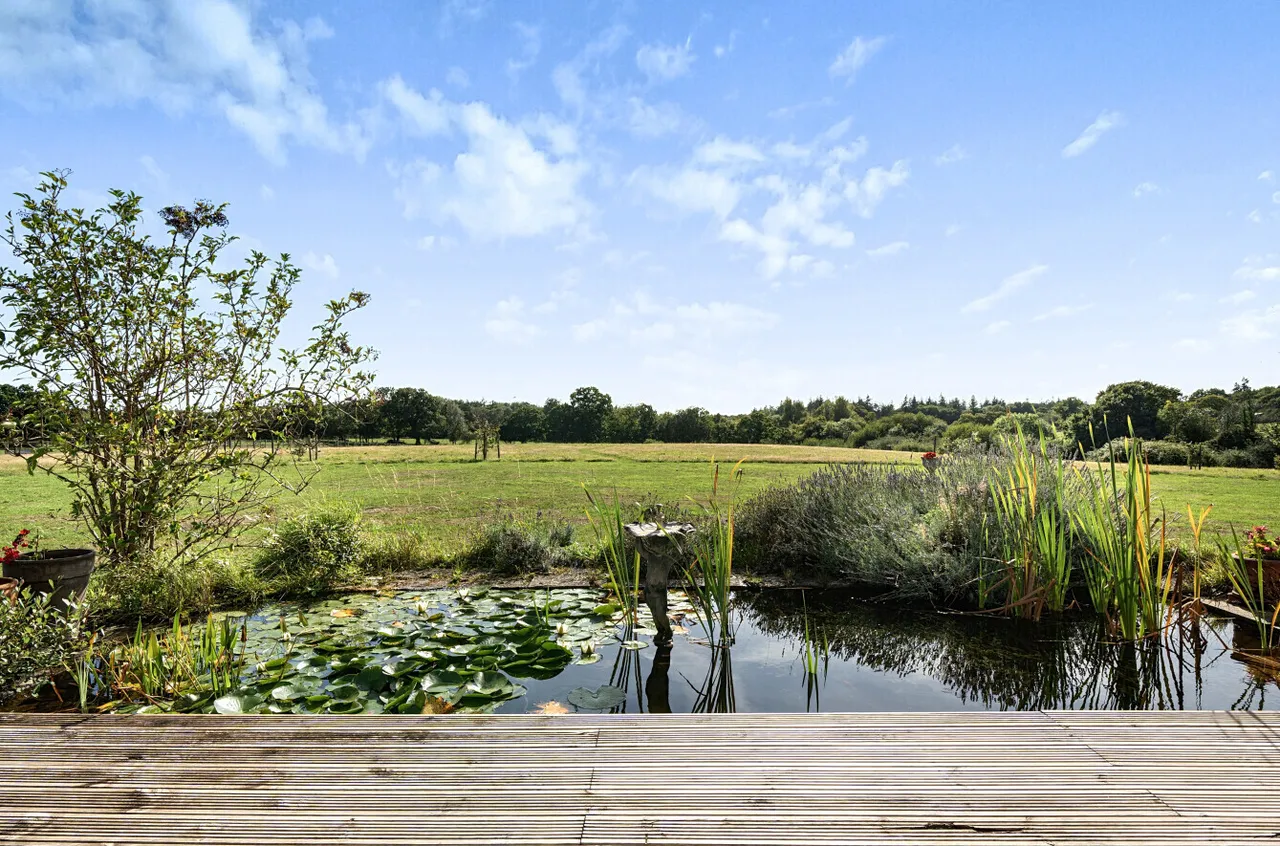 Exbury Road, Beaulieu, SO42, photo 4