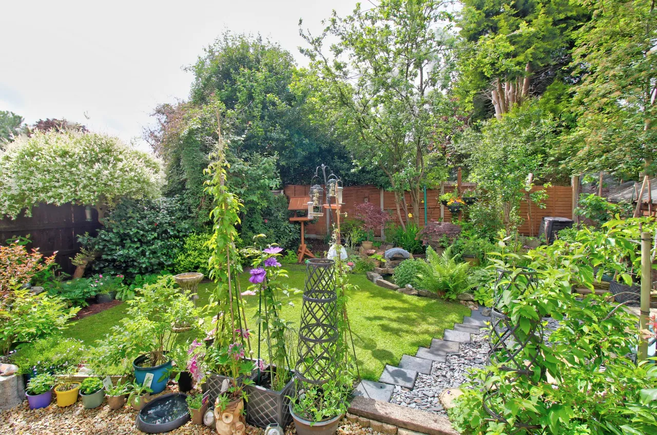 Osmaston Road, Stourbridge, DY8, photo 15