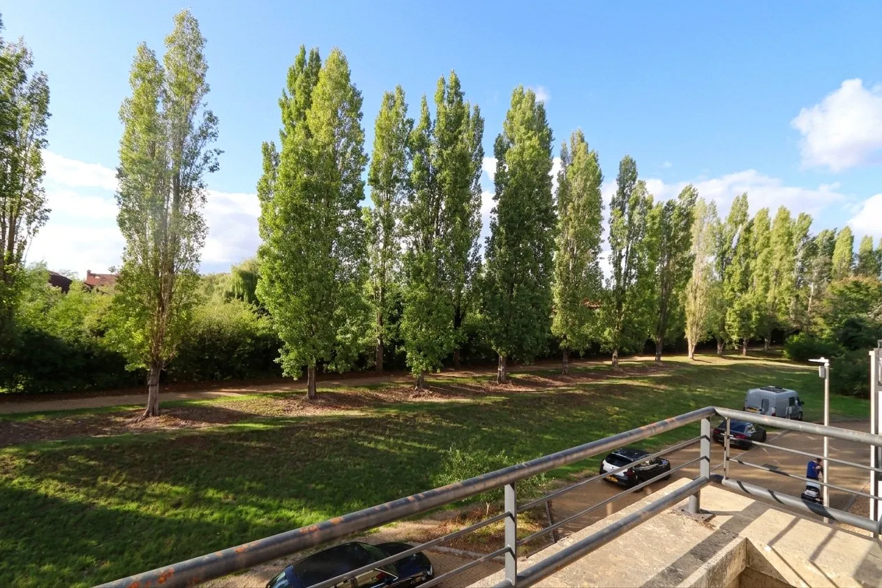Willen Park, photo 6