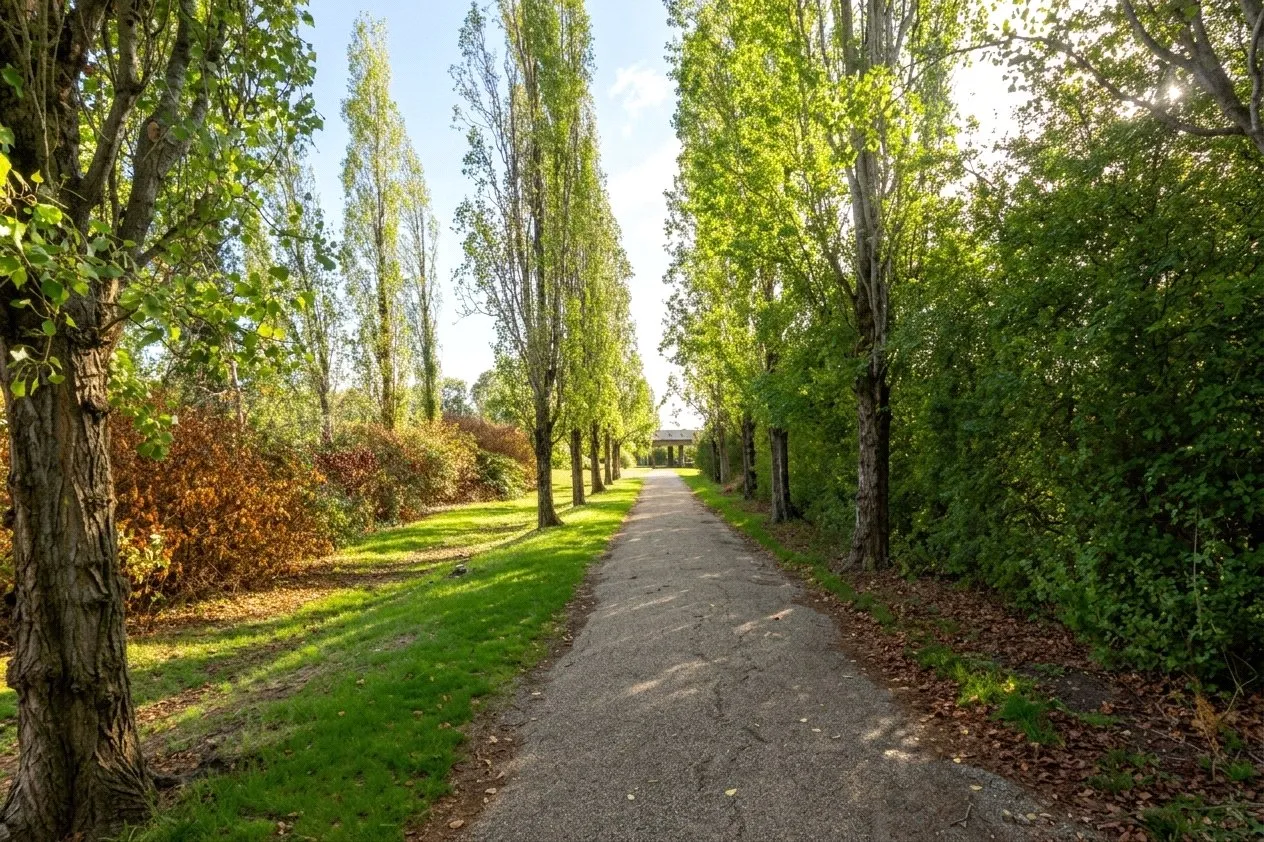 Willen Park, photo 14