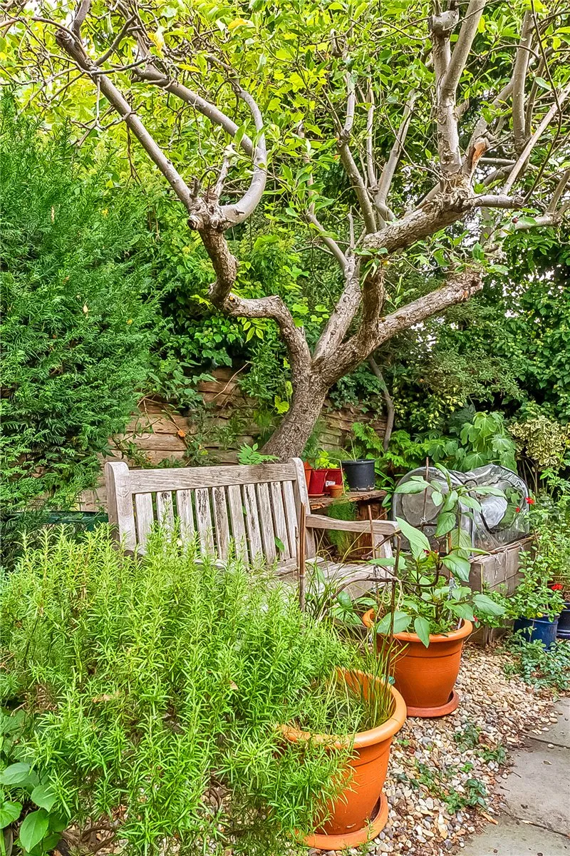 Althorp Road, London, SW17, photo 6