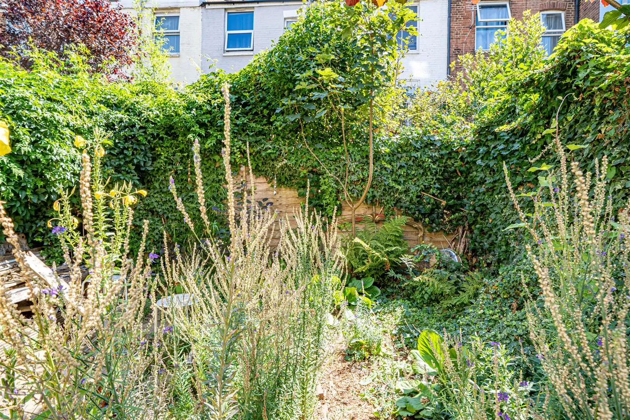 Queens Road, Hastings, photo 7