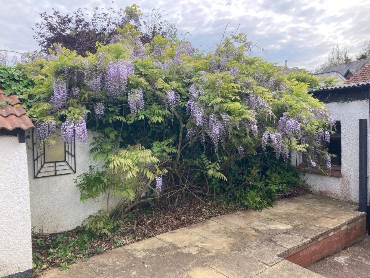 Bullen Street, Thorverton, EX5, photo 18