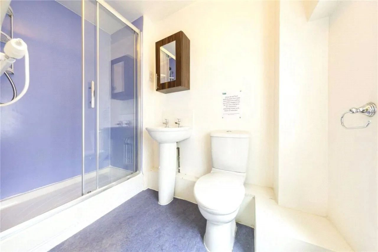 Princess Victoria Street, Clifton, BS8, photo 5