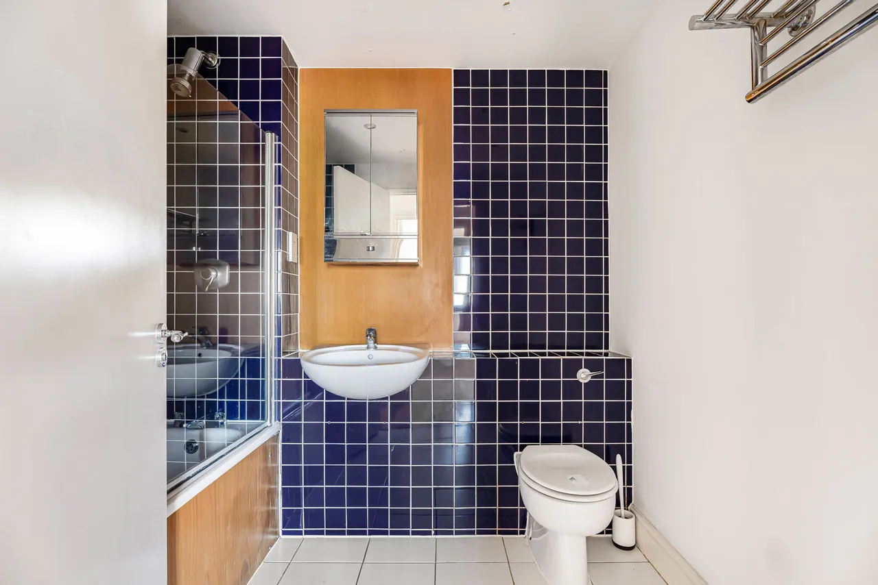 Plumbers Row, London, E1, photo 15