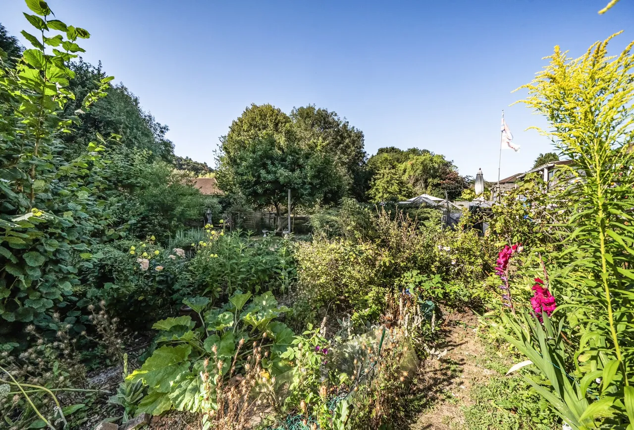 Hope Terrace, Somerset, Midsomer Norton, BA3 2AY, photo 13
