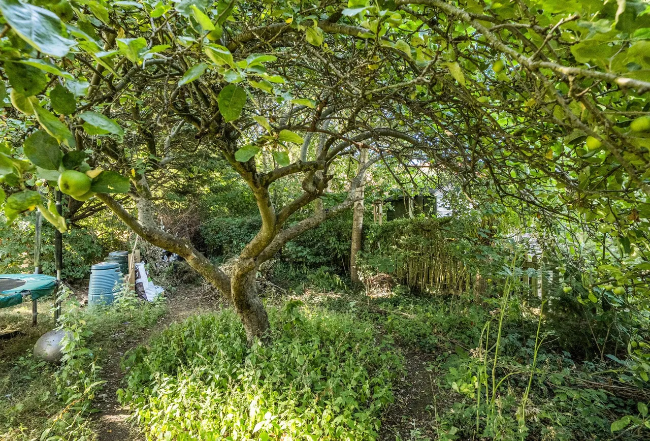 Hope Terrace, Somerset, Midsomer Norton, BA3 2AY, photo 15
