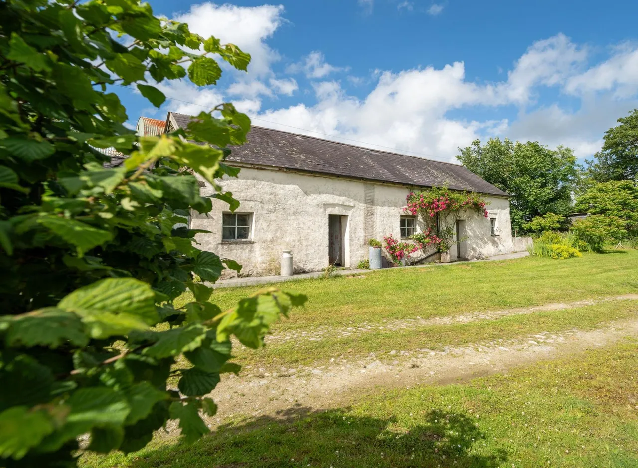 Cilrhedyn, Llanfyrnach, SA35, photo 5