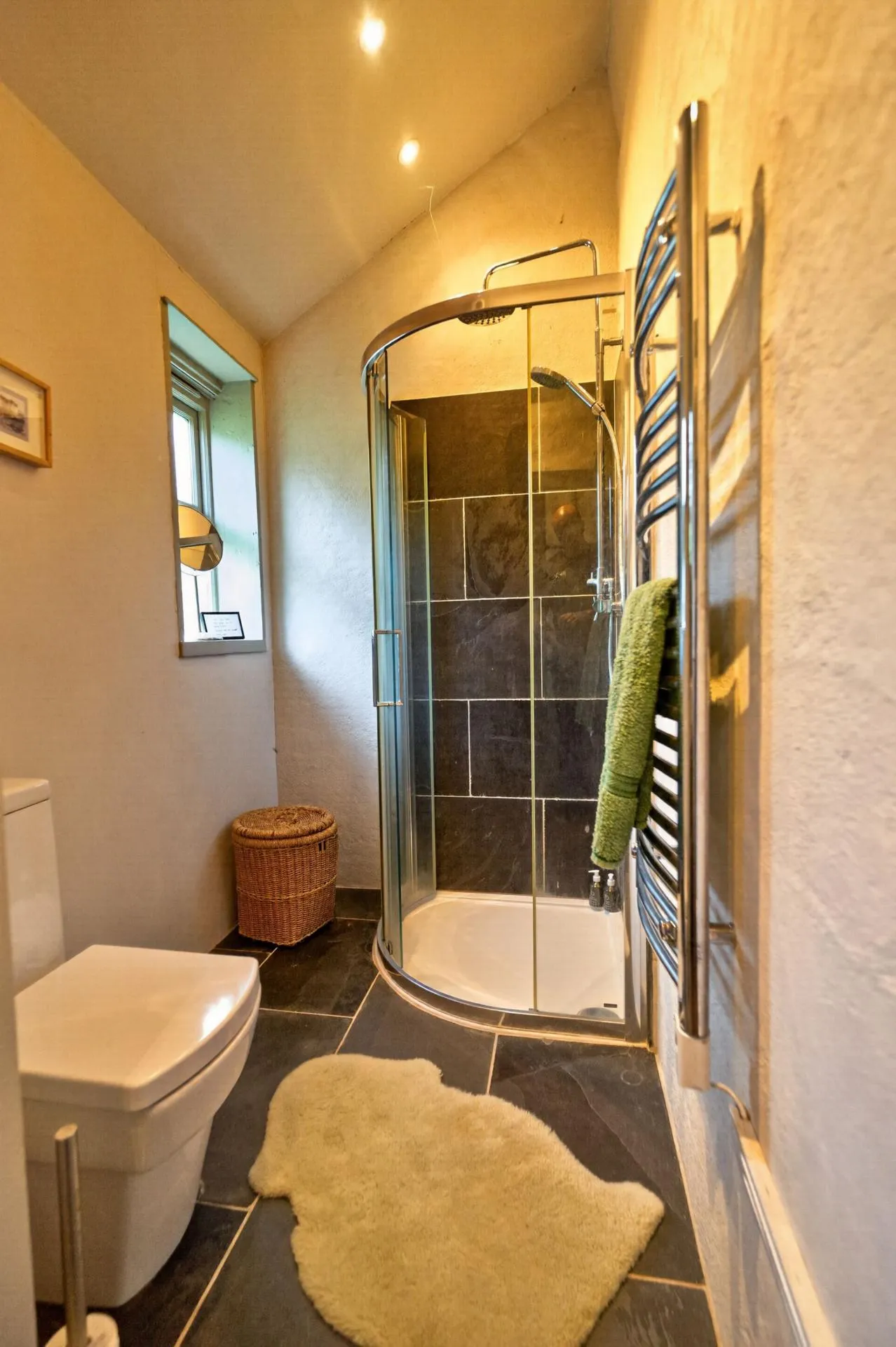 Cilrhedyn, Llanfyrnach, SA35, photo 55