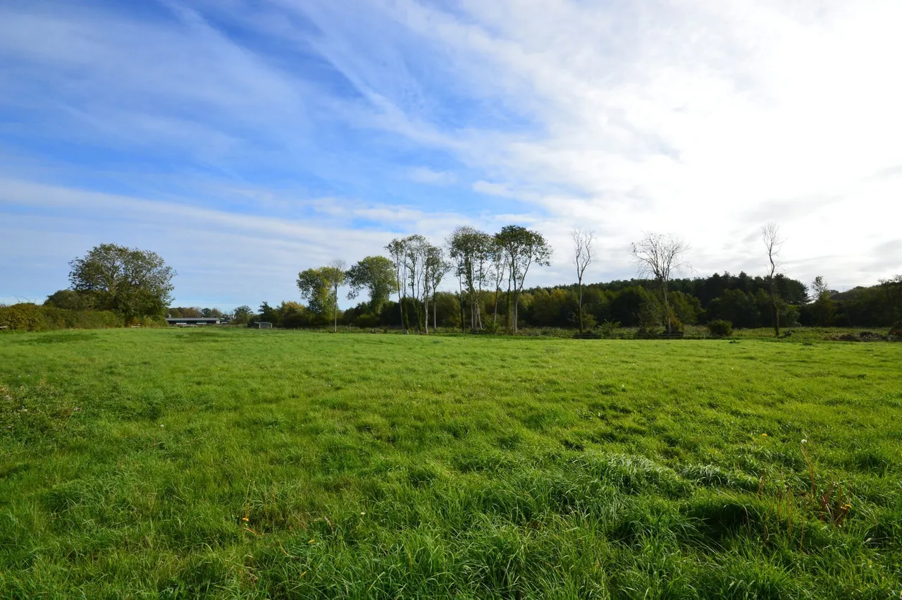 Bridgham, photo 19