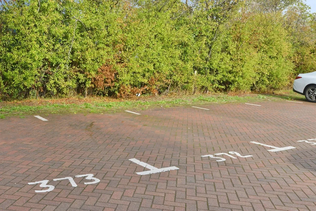 Berrenda Avenue, Whitehouse, MK8, photo 13