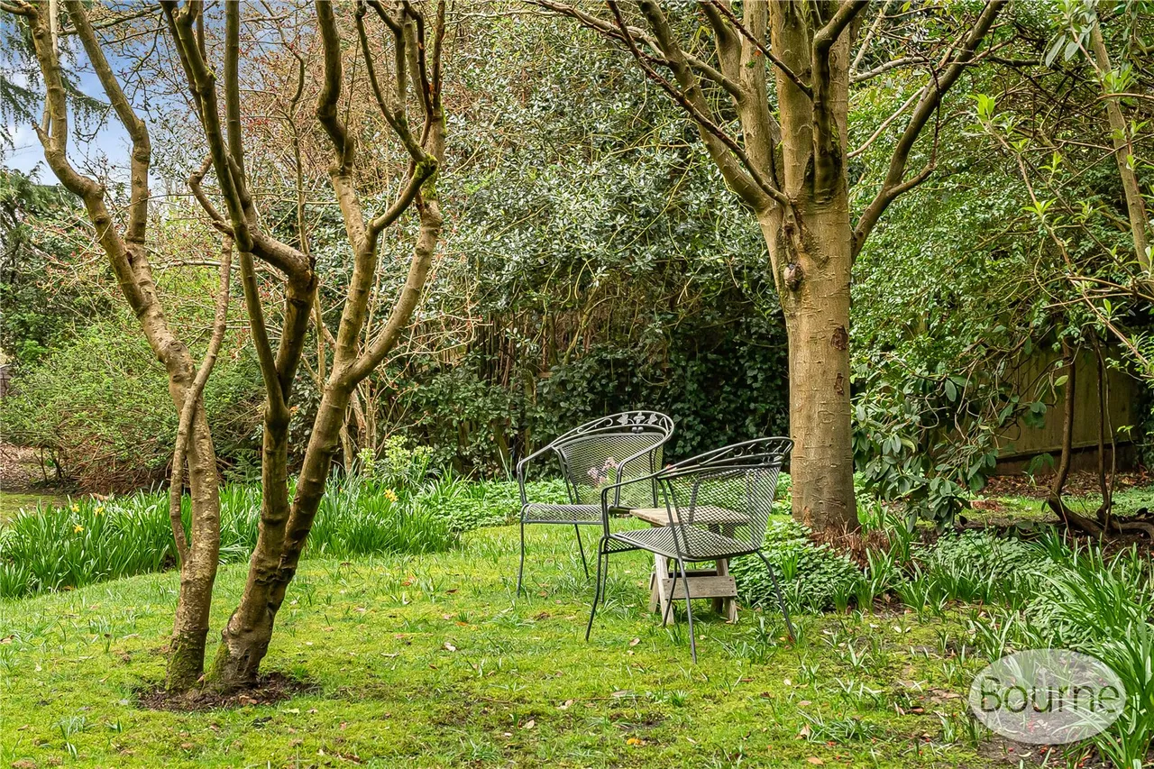 Sandy Lane, Woking, GU22, photo 13