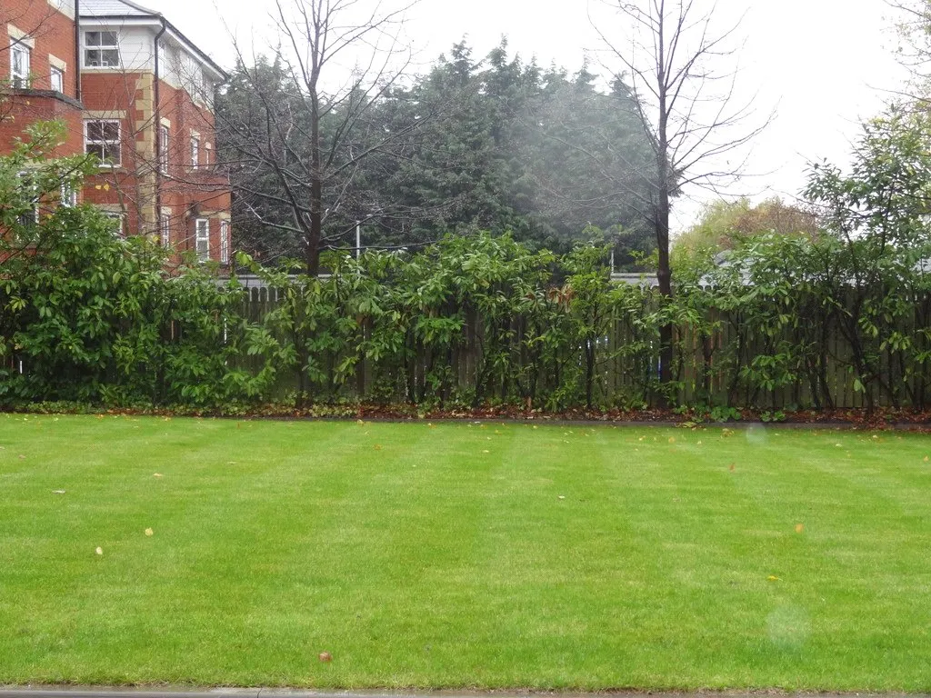 Warwick Road, Solihull, B92, photo 9