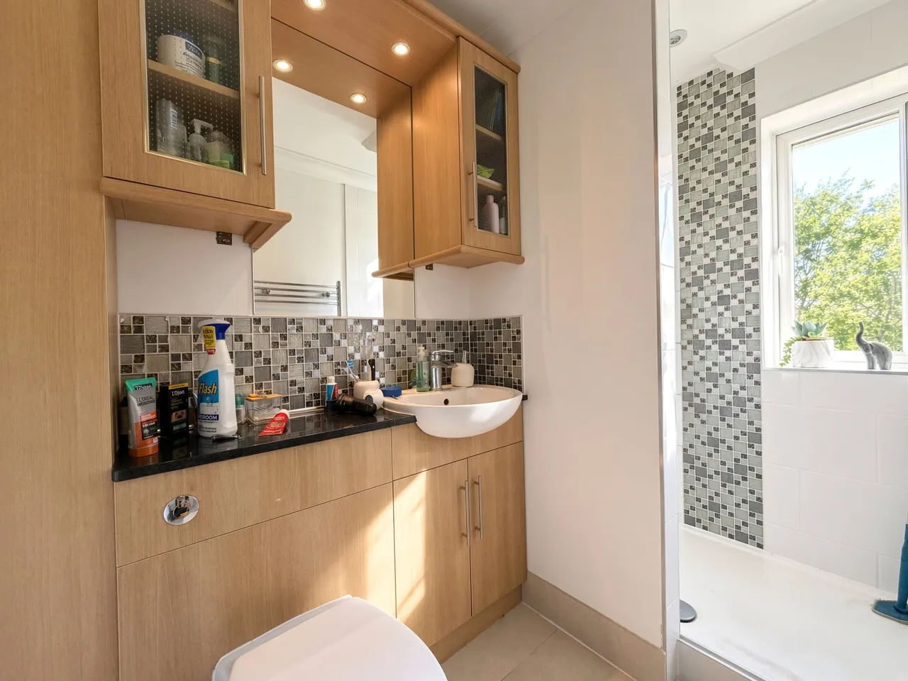 Elm Place, Aldershot, Hampshire, GU11 3SU, photo 28