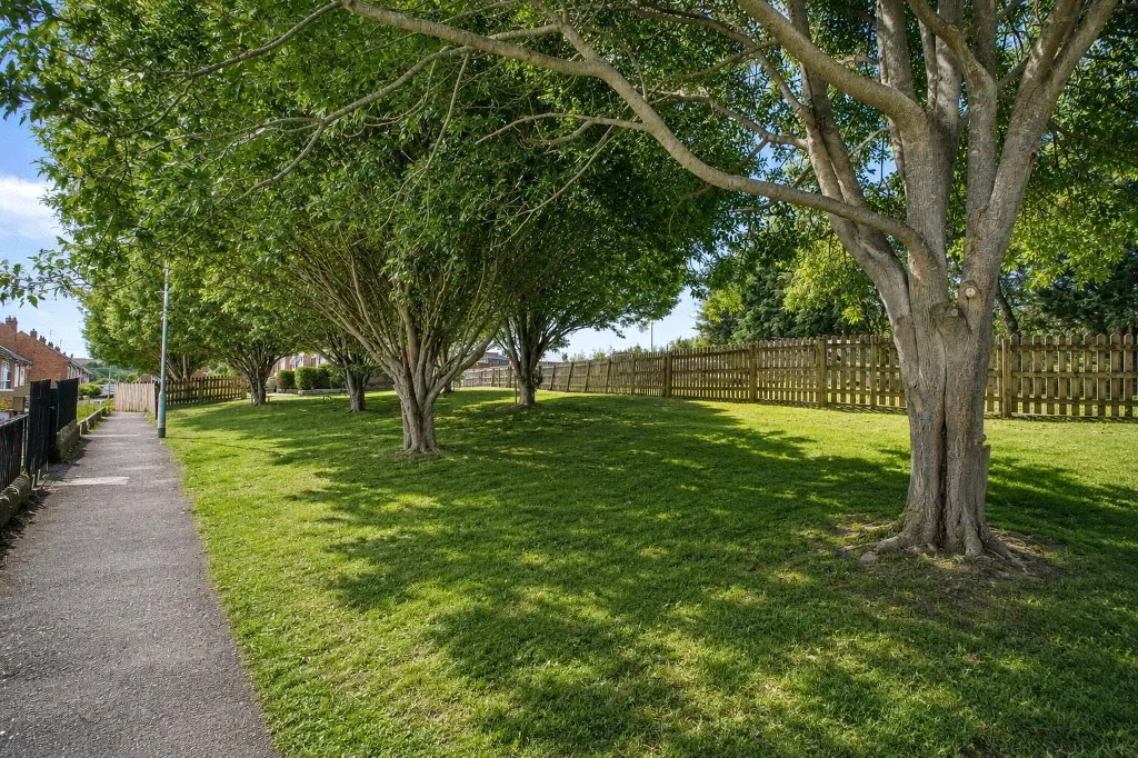 Barnstaple, EX32, photo 17