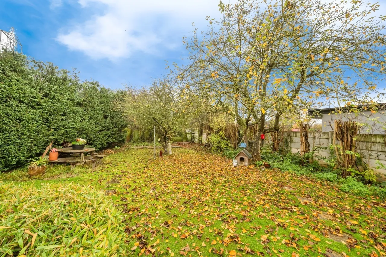 Wickett Hern Road, Armthorpe, Doncaster, South Yorkshire, DN3, photo 17