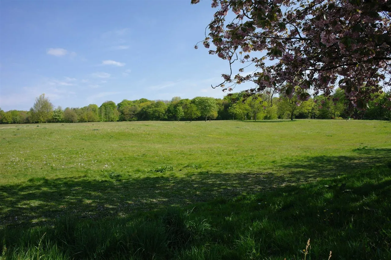 Chesham Road, Chesham, Bury, Greater Manchester, BL9 6EP, photo 16