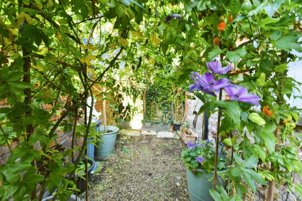Tucker Street, Wells, BA5, photo 13